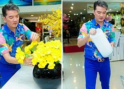 Mr. Đàm bảnh bao đi sắm nội thất trang trí Tết