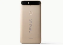 Nexus 6P phiên bản màu vàng đặc biệt lên kệ