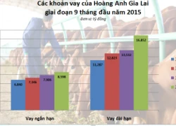 Nhà băng nào đang là chủ nợ của Hoàng Anh Gia Lai?