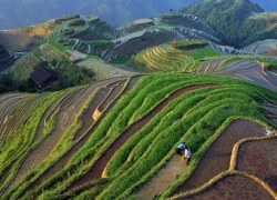 Những ruộng bậc thang châu Á hút khách du lịch