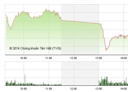 Phiên chiều 7/1: Tháo chạy trước hàng loạt tin xấu