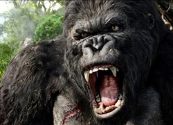 Phim &#8216;King Kong&#8217; phần 2 chuẩn bị quay tại Việt Nam