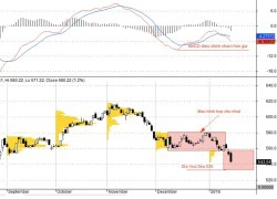 PTKT tuần (18/01-22/01): Diễn biến quá đà về giá