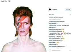 Sao Hàn đồng loạt đăng ảnh tưởng nhớ David Bowie