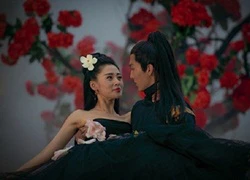 Sự thật vì sao web drama như "Thái Tử Phi Thăng Chức Ký" liên tục bị "sờ gáy"