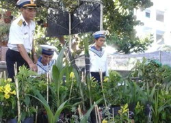 Tết này, Trường Sa có hoa tươi