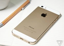 Thêm tin đồn iPhone 5SE ra mắt tháng 3, giá 450 USD