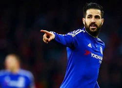 Vỗ tay lên logo Chelsea, Fabregas chọc tức CĐV Arsenal