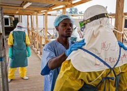 WHO cảnh báo dịch Ebola có thể tái bùng phát tại Tây Phi