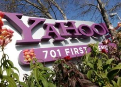 Yahoo Nhật Bản bị tố 'bán' 12 tấn ngà voi trong vòng hai năm