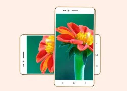 Ấn Độ ra smartphone giá dưới 4 USD