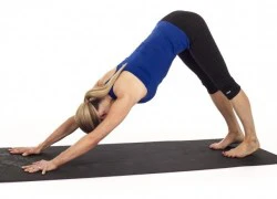 Bài tập yoga đốt cháy mỡ bụng nhanh nhất