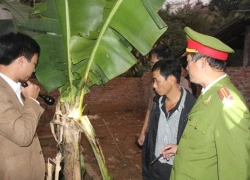 Bắt "hàng trắng" ngày Tất niên