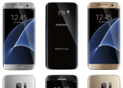 Bộ đôi Galaxy S7 lộ ảnh báo chí