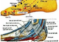 Cách tự bấm 4 huyệt giúp chị em giảm béo nhanh đón Tết