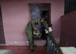 Cuba điều động 9.000 quân chống virus Zika lan truyền