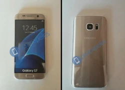 Galaxy S7 edge lộ thêm ảnh phiên bản màu vàng và bạc