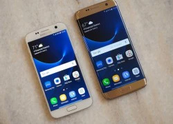 Galaxy S7 lên kệ tại VN giữa tháng 3, giá dự kiến 17 triệu