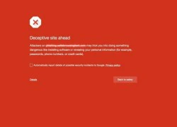 Google cung cấp tính năng lọc trang web giả mạo