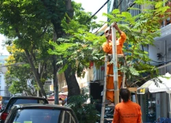 Hàng loạt ôtô bị xử phạt sau tin nhắn của ông Đinh La Thăng