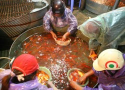 Hàng tấn cá chép cúng ông Công ông Táo bày bán tại chợ Yên Sở