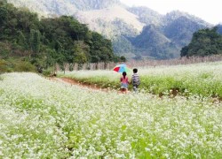 Lên kế hoạch du xuân 3 tháng đầu năm