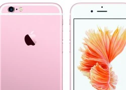 Loạn tin đồn về iPhone 5SE phiên bản màu hồng