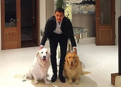 Muôn vẻ chuyện bồ và... cún của Messi, Sanchez & Oezil