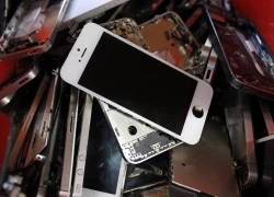 Những chiếc iPhone cũ kết thúc vòng đời ra sao?