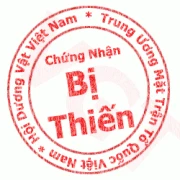 Ổ nhóm chuyên trộm dây điện ở các công trường lĩnh án