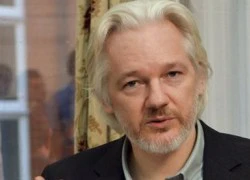 Ông chủ Wikileaks định nộp mình cho cảnh sát