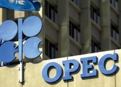 OPEC tìm cách chấm dứt tình trạng nguồn cung dầu mỏ dư thừa