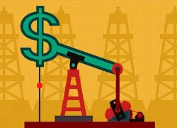 Quá muộn để OPEC cứu giá dầu