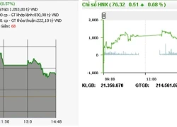 Sắc xanh bao trùm hai sàn, thanh khoản đạt thấp