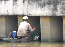 'Sát thủ' ngang nhiên diệt cá trên kênh Nhiêu Lộc