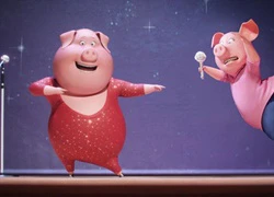 "Sing" - Phim hoạt hình mới siêu dễ thương của nhà sản xuất "Minions"