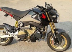 "Sốc" với Honda MSX 125 lắp máy siêu môtô Ducati 1199R