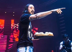 Steve Aoki bị kiện khi ném bánh ngọt vào khán giả