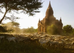 Sự mê hoặc của bóng tối và ánh sáng ở Myanmar