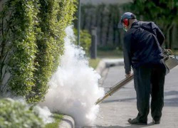 Thái Lan phát hiện virus Zika, WHO công bố tình trạng khẩn cấp toàn cầu