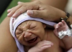 Virus Zika: WHO tuyên bố tình trạng y tế khẩn cấp toàn cầu