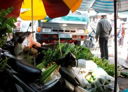 Xe ben lao dốc cầu Trường Đai: 'Nhiều người la hét, chạy loạn xạ'