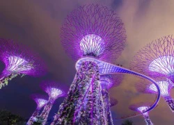 10 hoạt động miễn phí về đêm ở Singapore