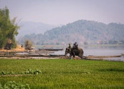 4 ngày du ngoạn Đăk Lăk dịp hội đua voi