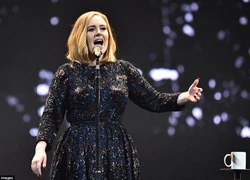 Adele bắt đầu đi tour, giúp fan cầu hôn ngay trong show đầu tiên