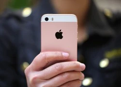 Apple đang bán 23 bản iPhone