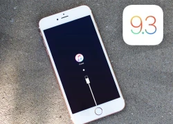 Apple ra bản vá lỗi sau khi ngừng cập nhật iOS 9.3