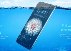 Apple sẽ ra mắt 3 mẫu iPhone mới trong năm 2016