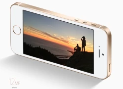 Apple tung ảnh chụp thử từ camera iPhone SE