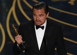 Bí mật từ danh sách chiến thắng Oscar 2016